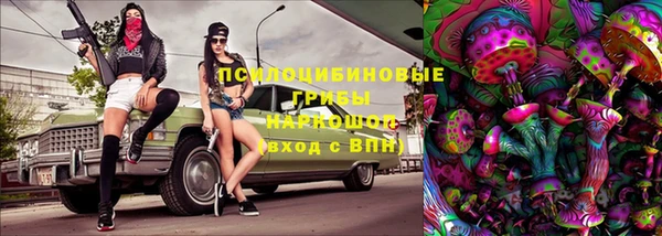 шишки Богданович